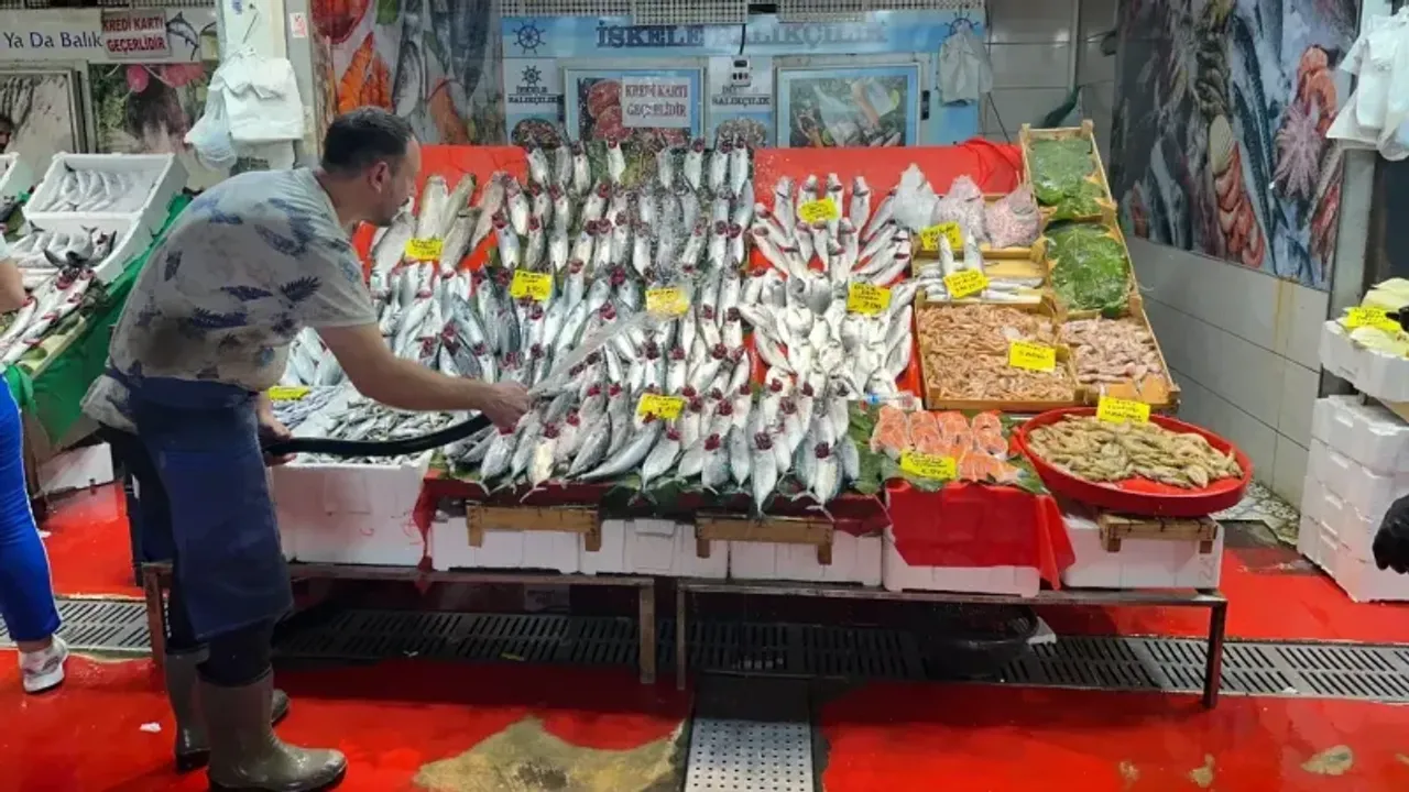  İstanbul’da Palamut Fiyatları 100 Liraya Düştü