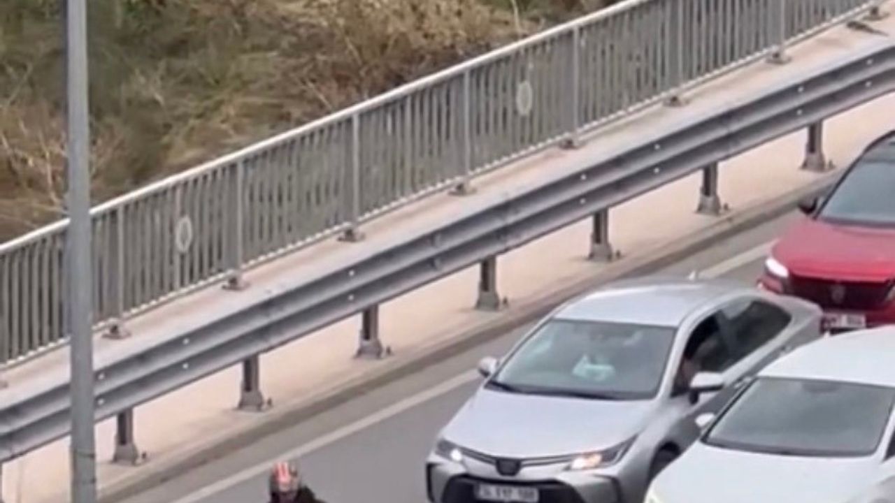 Maltepe’de trafikte sopalı kavga