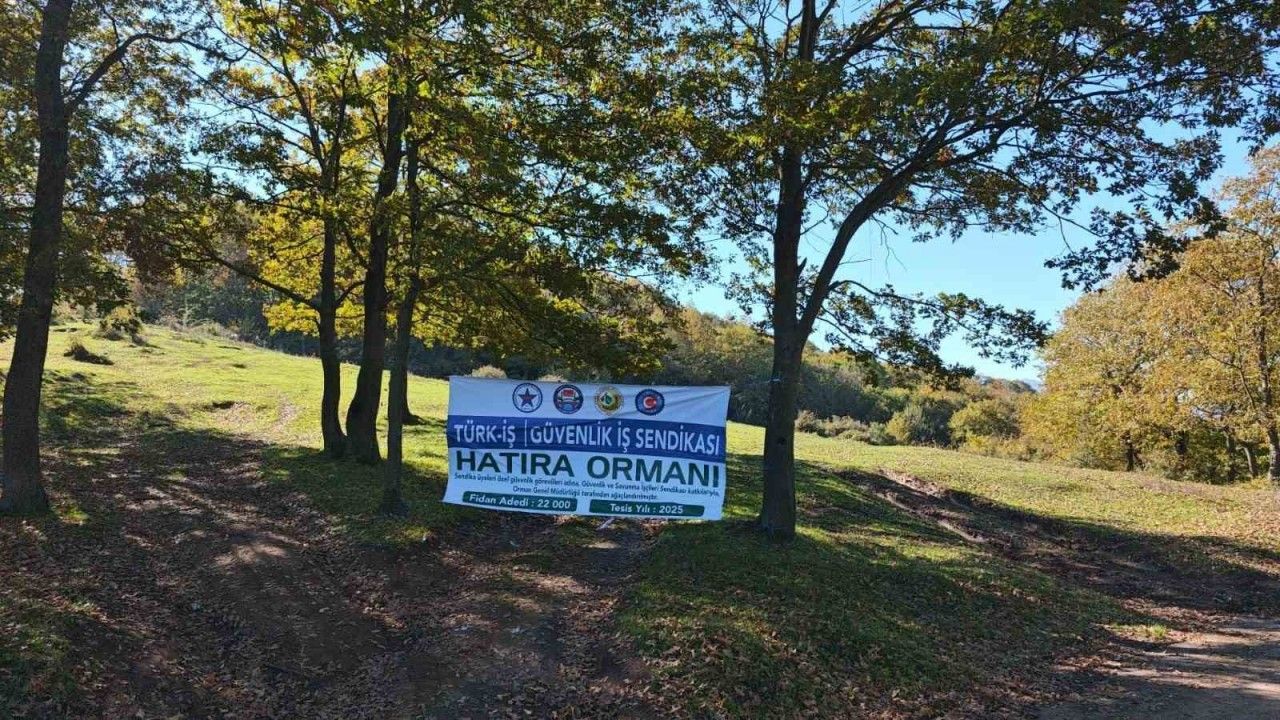 Sakarya’da örnek iş birliği: 22 bin fidan toprakla buluştu