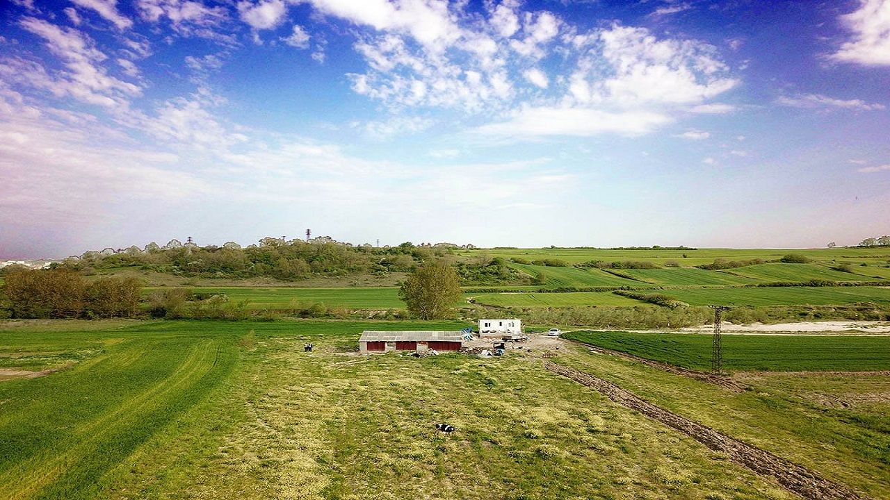 İcradan Şaşırtan Fiyat: Kocaeli Körfez'de Arsa Satışa Çıktı