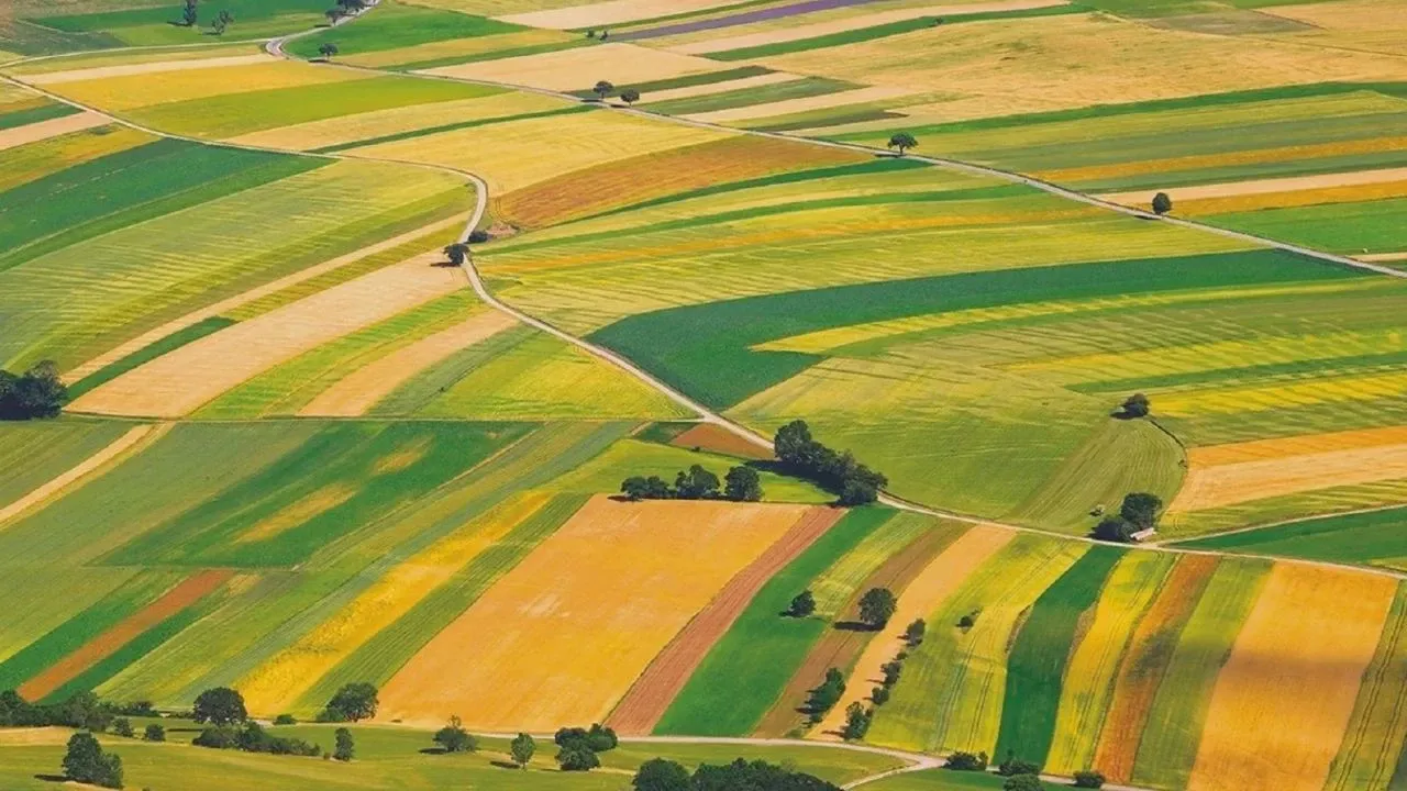 Kocaeli'nde Arsa ve Üzerindeki Ev İcraya Düştü: Bu Rakamı İlk Getiren Alacak