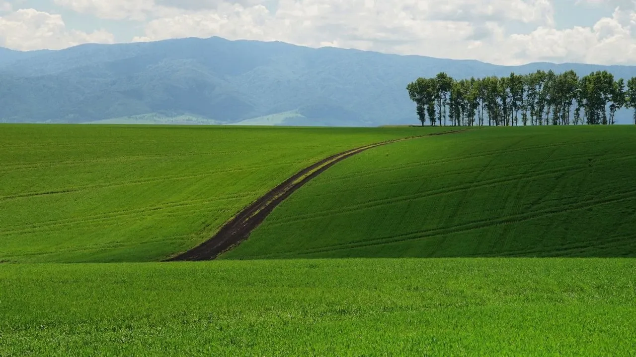 Kocaeli'nin En Değerli Yerlerinden Birinde Arsa Satılacak: Mahkeme Şaşırtan Fiyatı Açıkladı