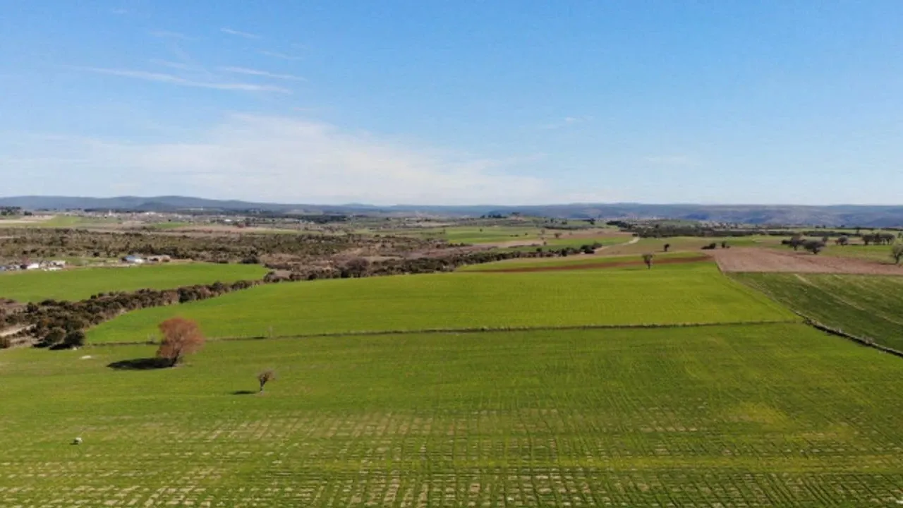 Ucuza arsa satılacak: Devlet bu illerde yaşayanlara müjde verdi
