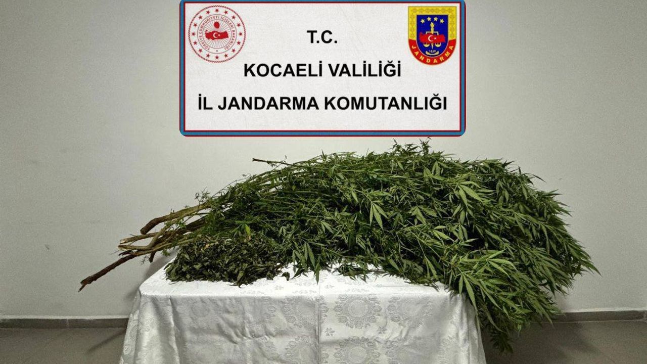 Kocaeli’de jandarmadan Uyarıcı Madde operasyonu