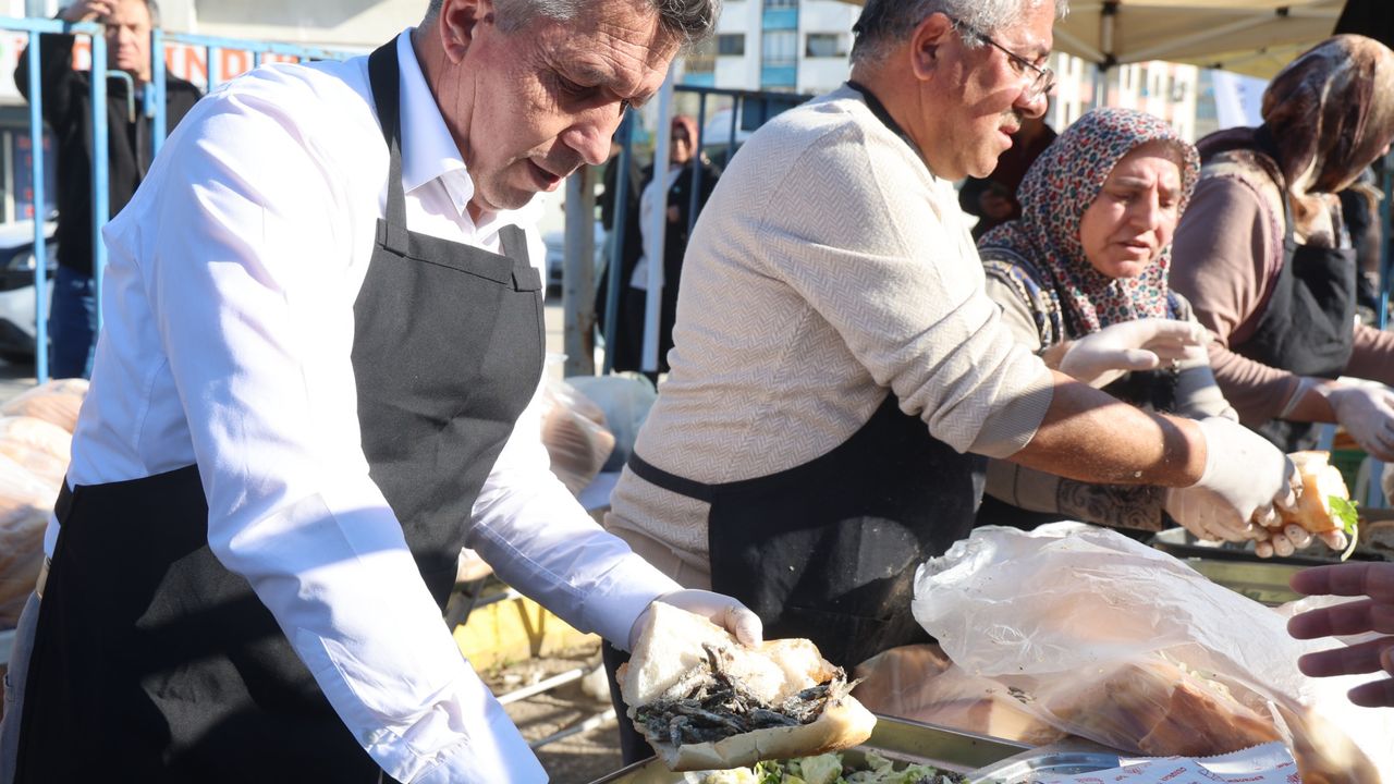 Kandıra’da Hamsi Festivali yeniden başlıyor: 1 ton hamsi ikram edilecek