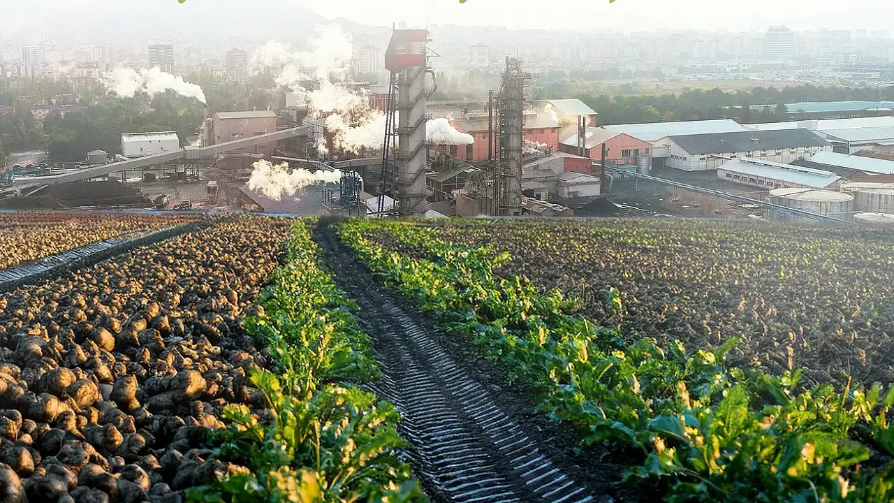 Köye dönmek isteyenler yaşadı: İşte verilecek yeni destek