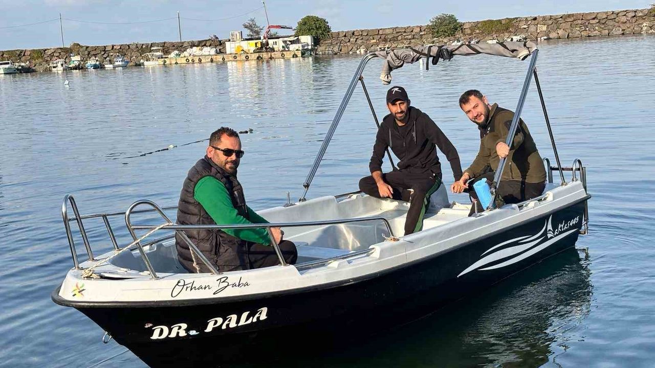 Trabzon kıyılarında köpek balığı hareketliliği arttı