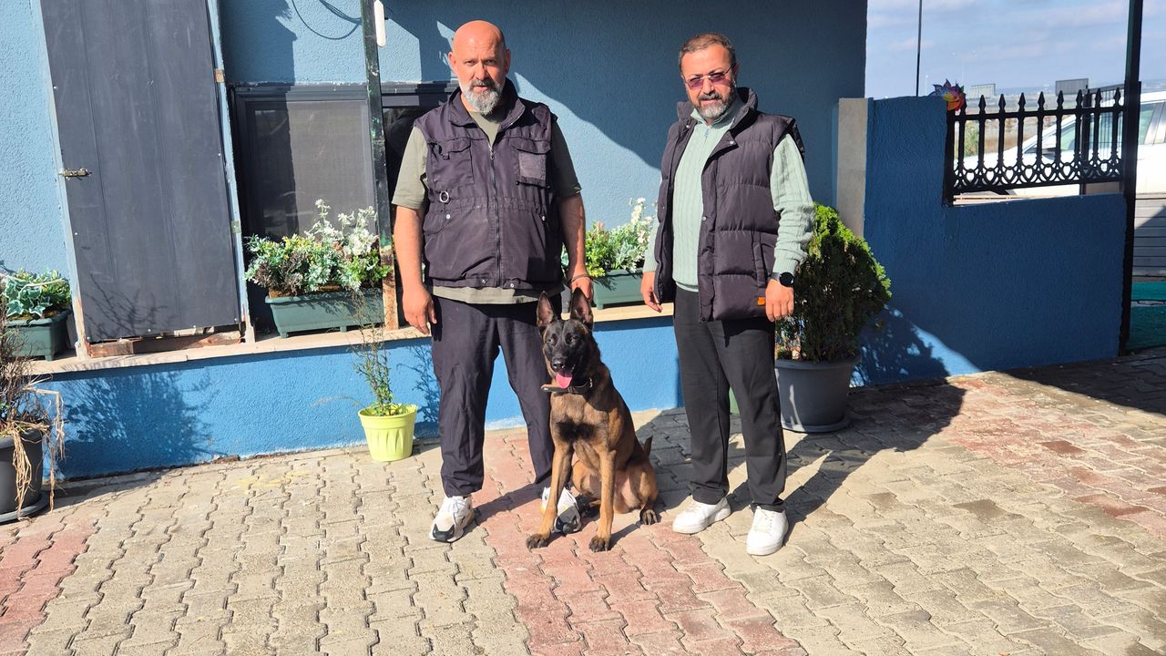 “Her Köpek Doğru Yönlendirmeyle Harikalar Yaratabilir”