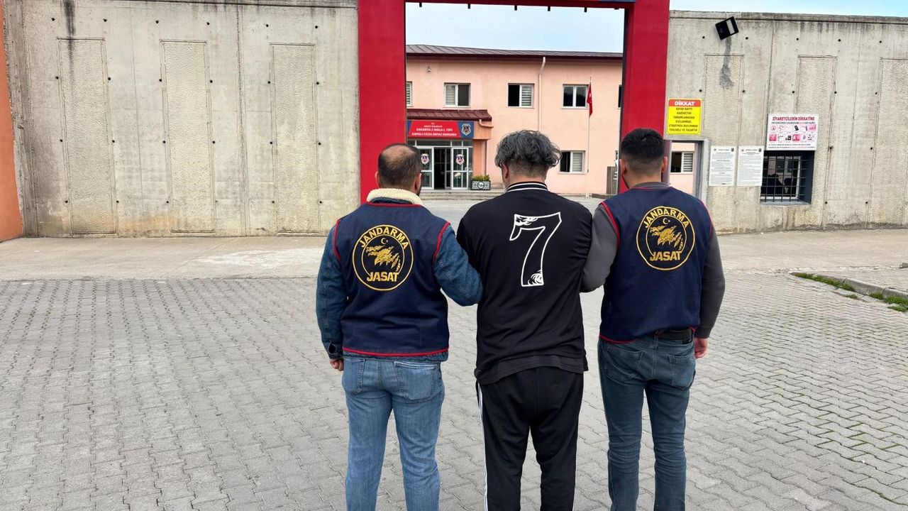 Sakarya'da Jandarmadan Suçlulara Darbe