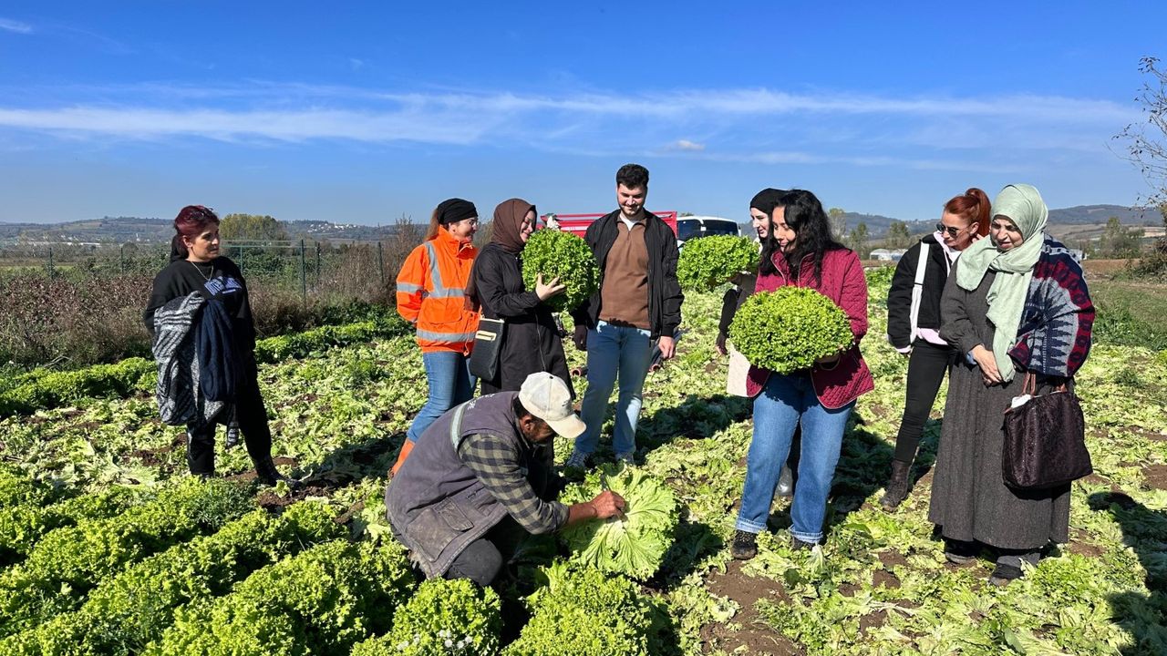 Kocaeli Büyükşehir Tarım Akademisi’nde Aday Çiftçilere Uygulamalı Eğitim