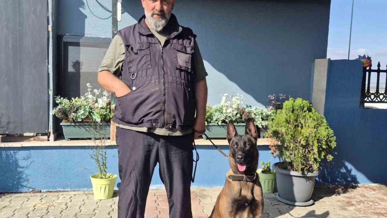 Ay: Köpekler kötü değildir