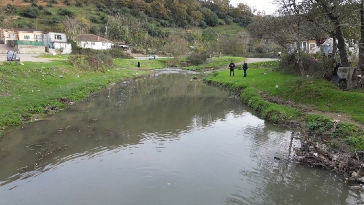 Barajı besleyen derede ölü balıklar kıyıya vurdu! Alibey Barajı’na akan derede alarm
