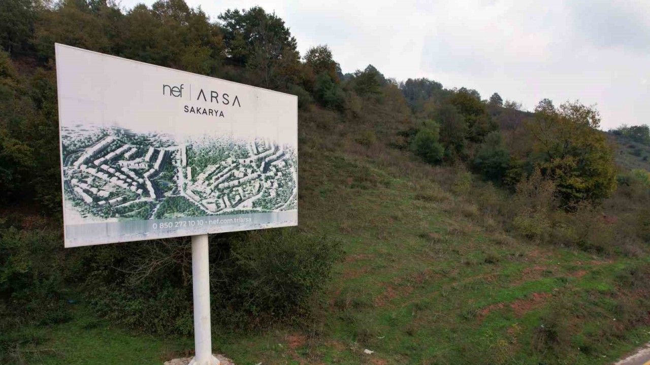 Ormana tabela asıp milyonlar topladılar