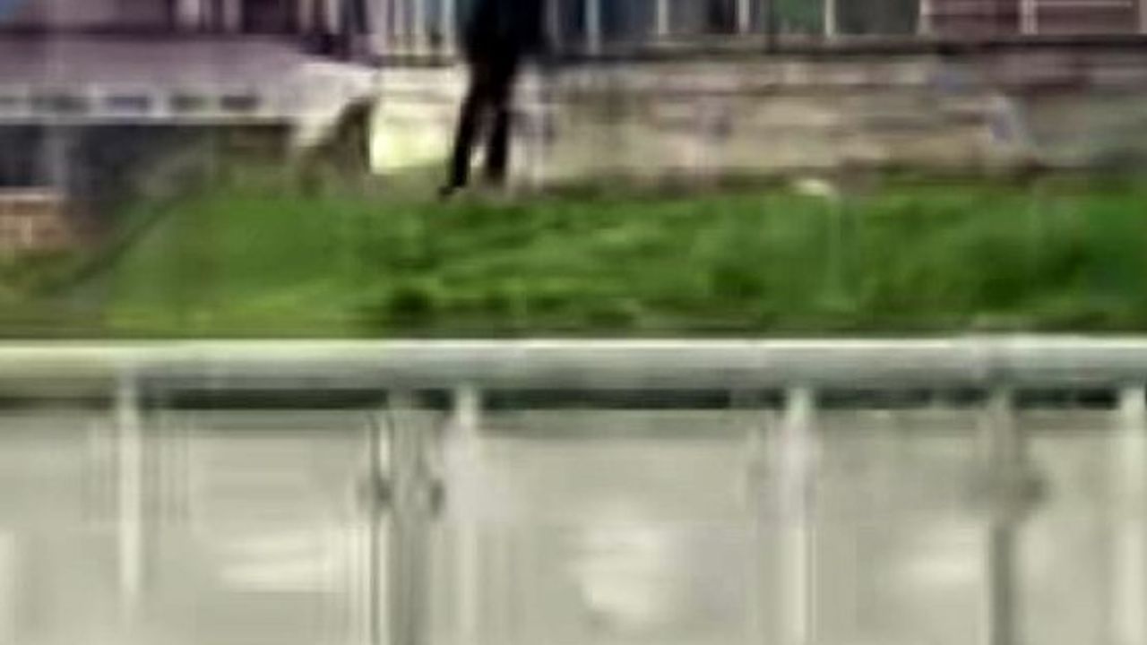 Parkta şaşkına çeviren görüntü: Vatandaşın tepkisi kamerada