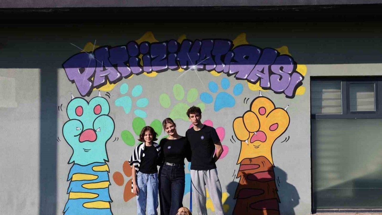 ‘Pati İzi’nde 500 can dost yeni hayatına kavuştu