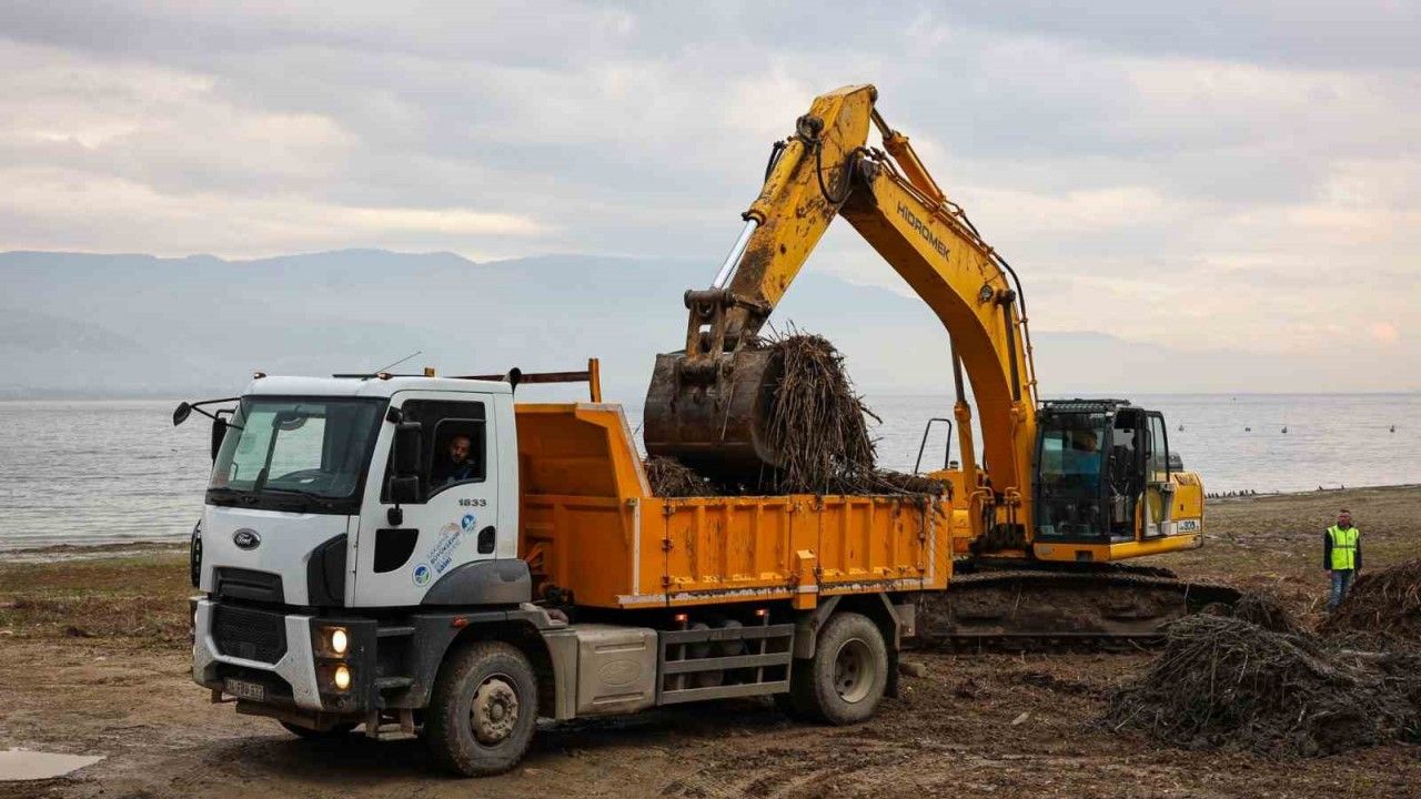 Sapanca Gölü kıyılarında ekosistemi koruyan temizlik