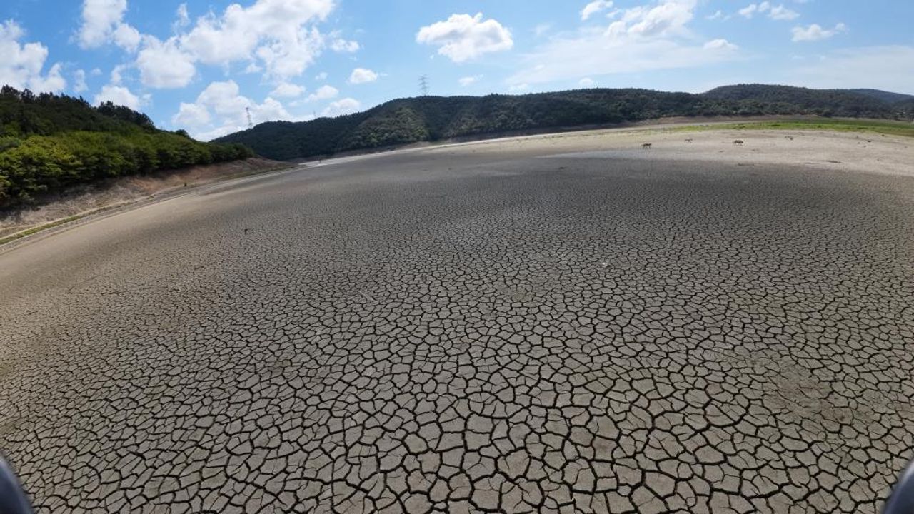 Mega kentte kuraklığın izleri havadan görüntülendi
