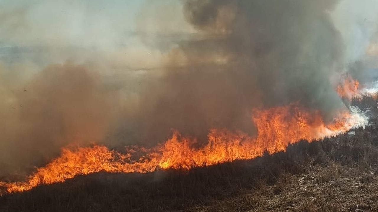 Konya Beyşehir’de sazlık yangını paniği: Alevler ormana yaklaştı, müdahale edildi