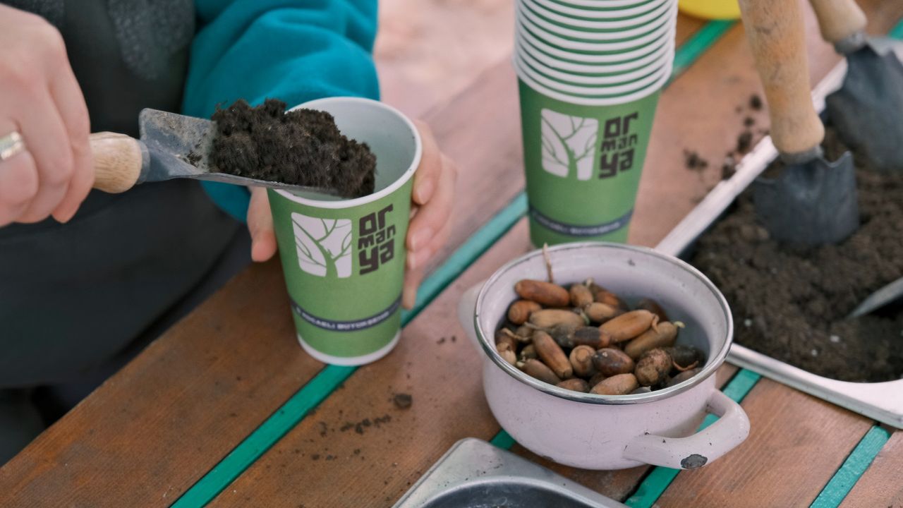 Geleceğe nefes için buluştular: Kocaeli’de tohumlar toprakla buluştu