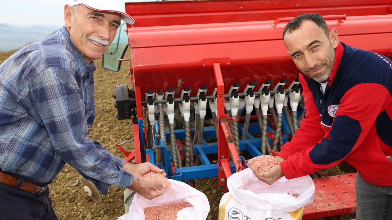 Kocaeli’de Hibeli Tohumlar Toprakla Buluştu: Çiftçiye Rekor Destek