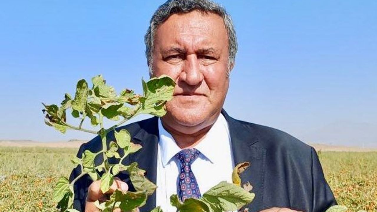 Gürer’den Sert Uyarı: “Tarımda Üretim Çöküyor, İthalat Kapanı Daralıyor”