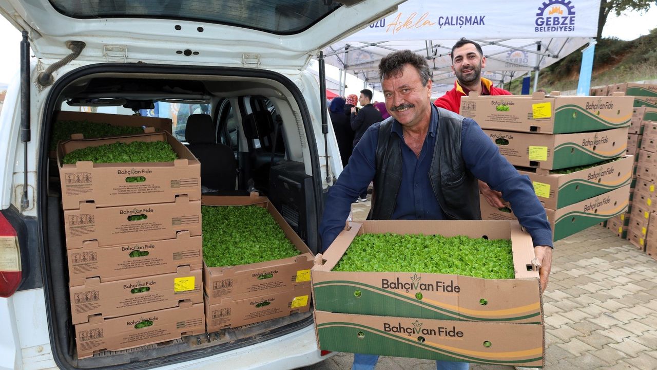 Kocaeli Büyükşehir’den Gebzeli Çiftçiye 500 Bin Sebze Fidesi
