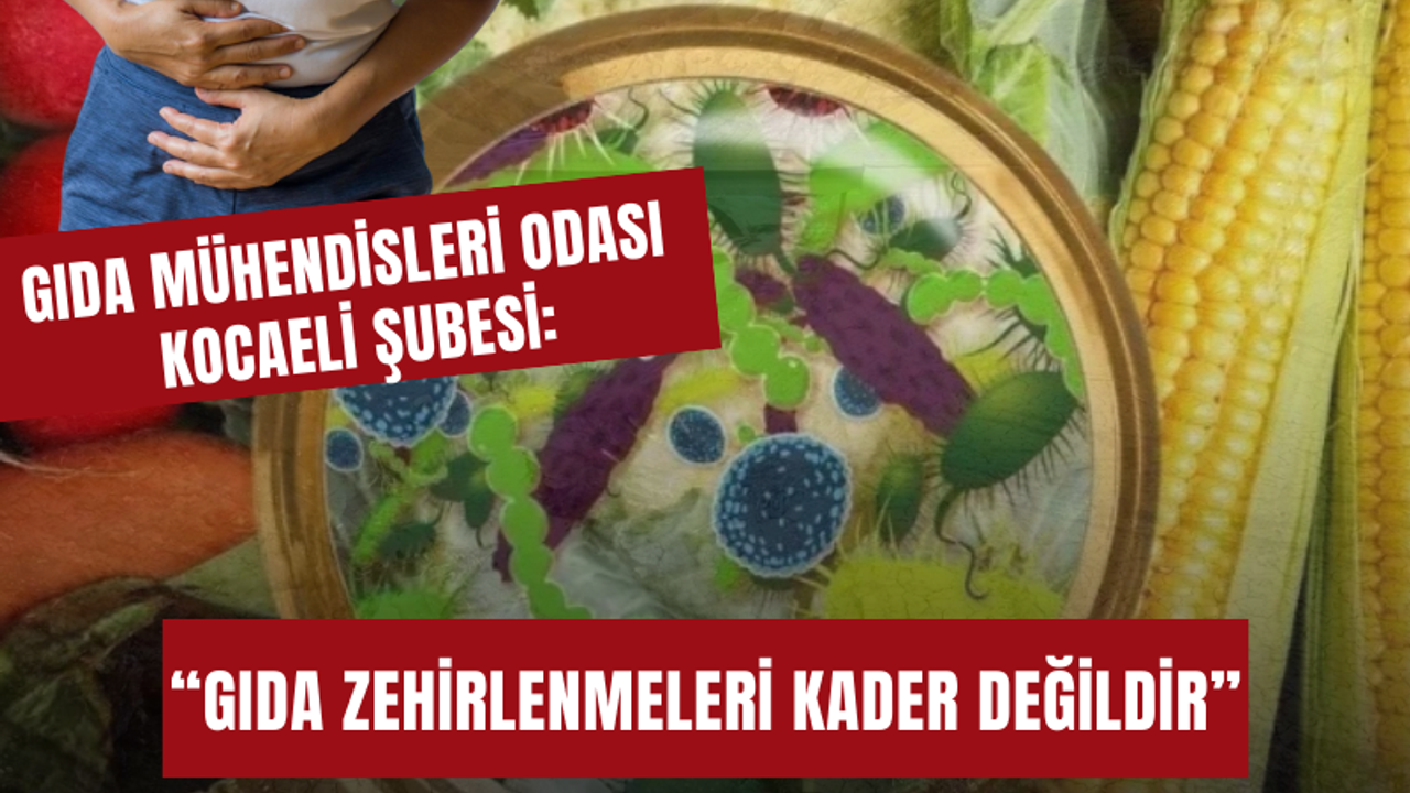 Gıda Mühendisleri Odası Kocaeli İl Temsilciliği: Gıda zehirlenmeleri kader değildir