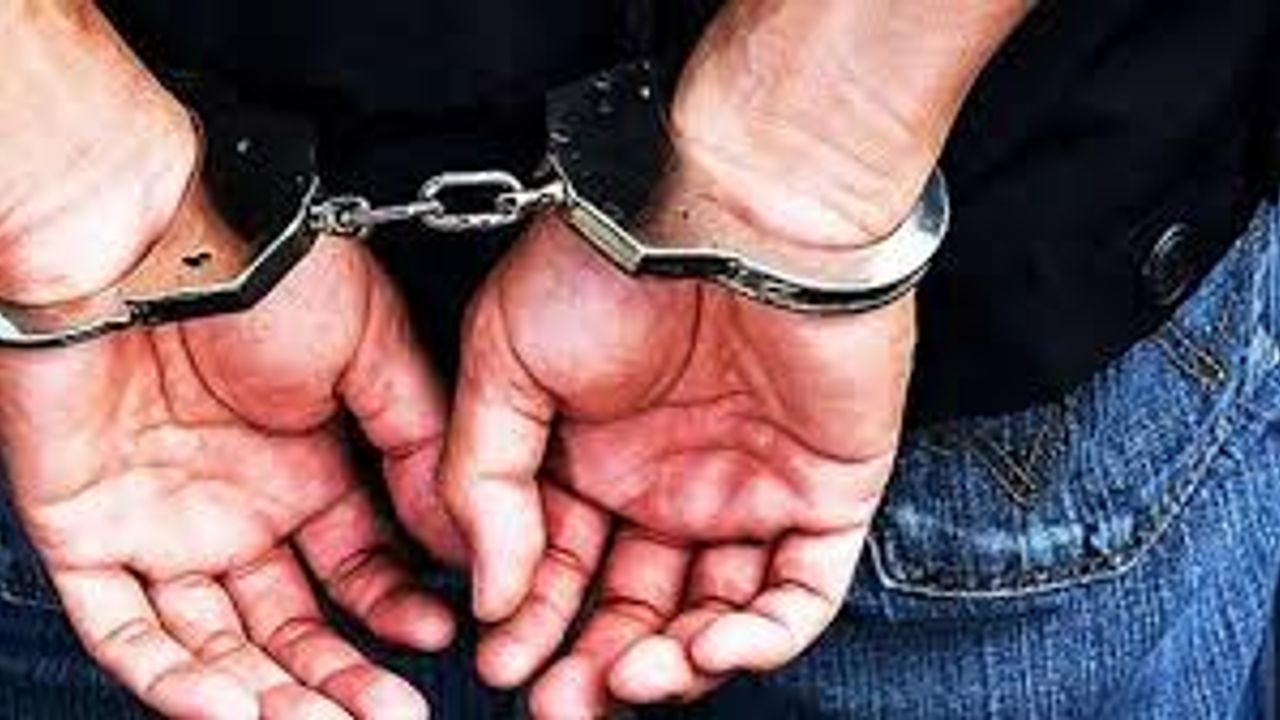 Jandarmadan 3 ilçede 3 ayrı kaçakçılık operasyonu: 3 gözaltı