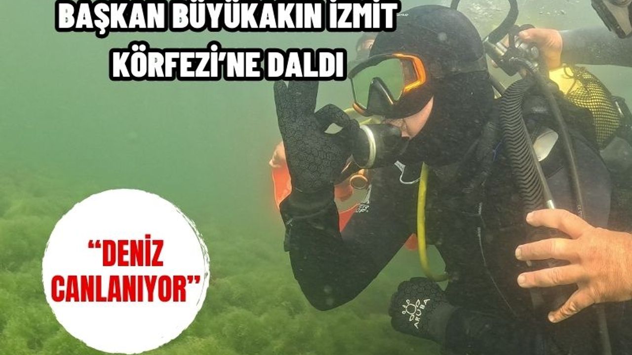 Başkan Büyükakın İzmit Körfezi’ne Daldı: “Deniz Canlanıyor”