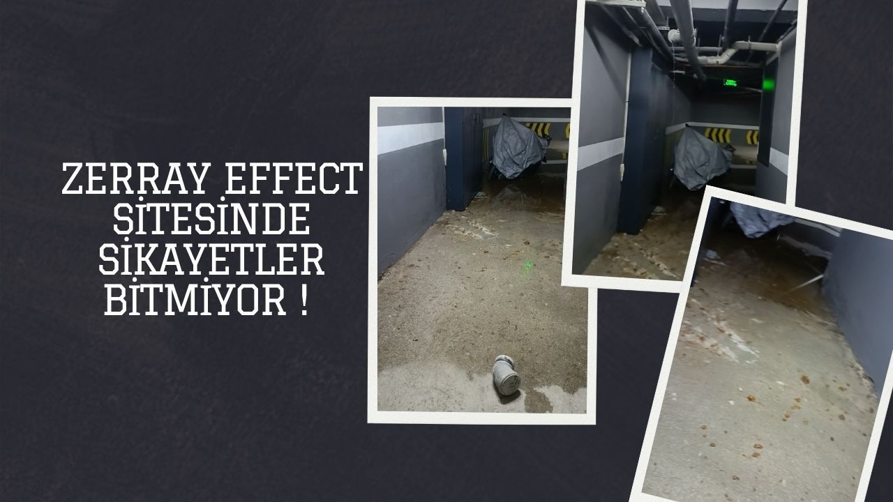 Zerray effect sitesinde sikayetler bitmiyor !