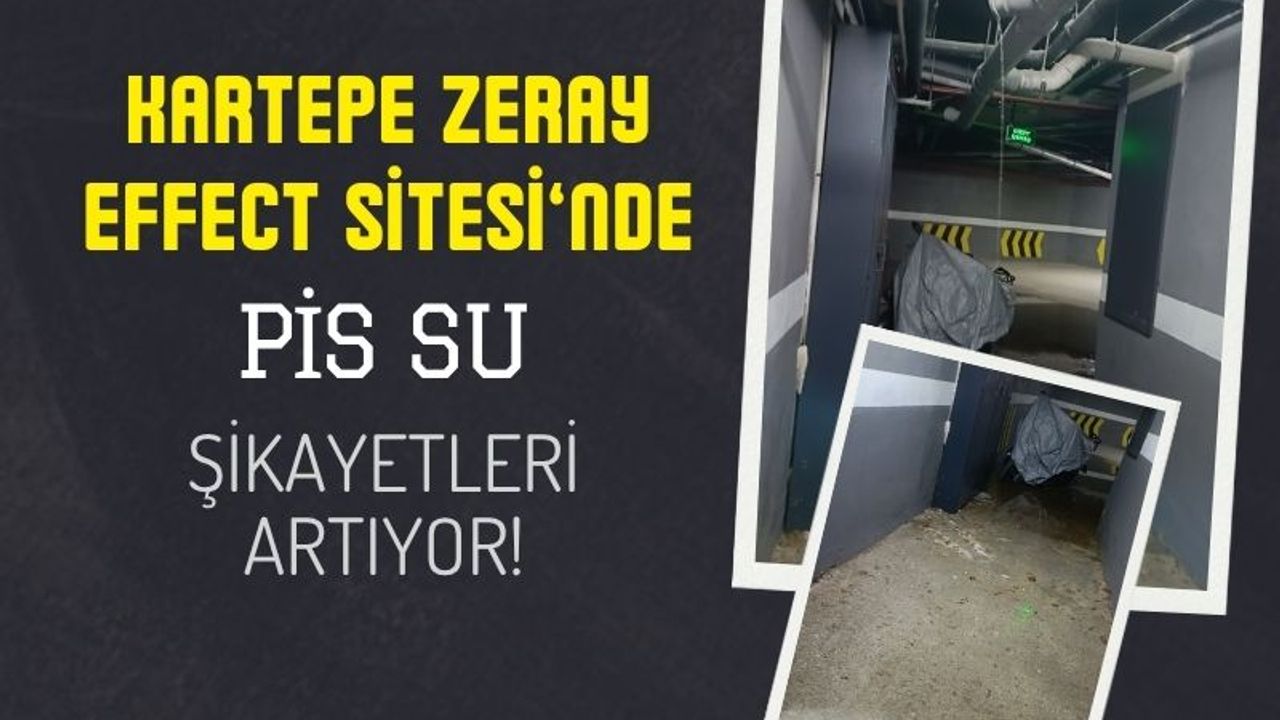 Zerray Effect Sitesinde Şikayetler Bitmiyor