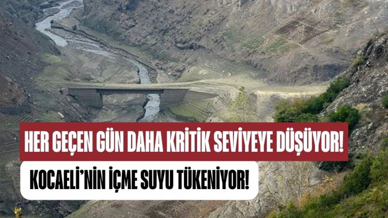 Kocaeli’de barajlar alarm veriyor: Su kaynakları kritik seviyede