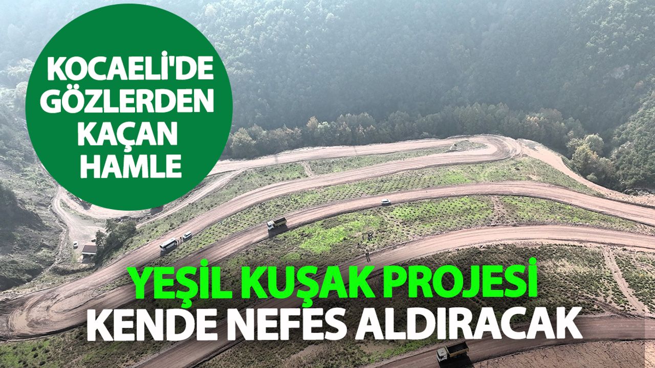 Göz önünde olmadan büyüyor: Kocaeli’de yeşil dönüşüm sessizce ilerliyor