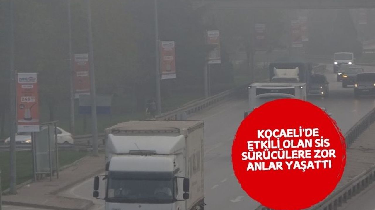 Kocaeli'de yoğun sis etkili oldu, sürücüler zorlandı