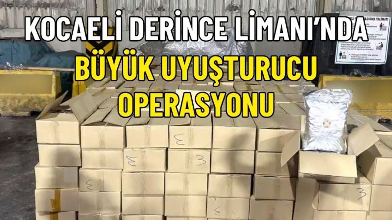 Kocaeli Derince Limanı'nda büyük uyuşturucu operasyonu