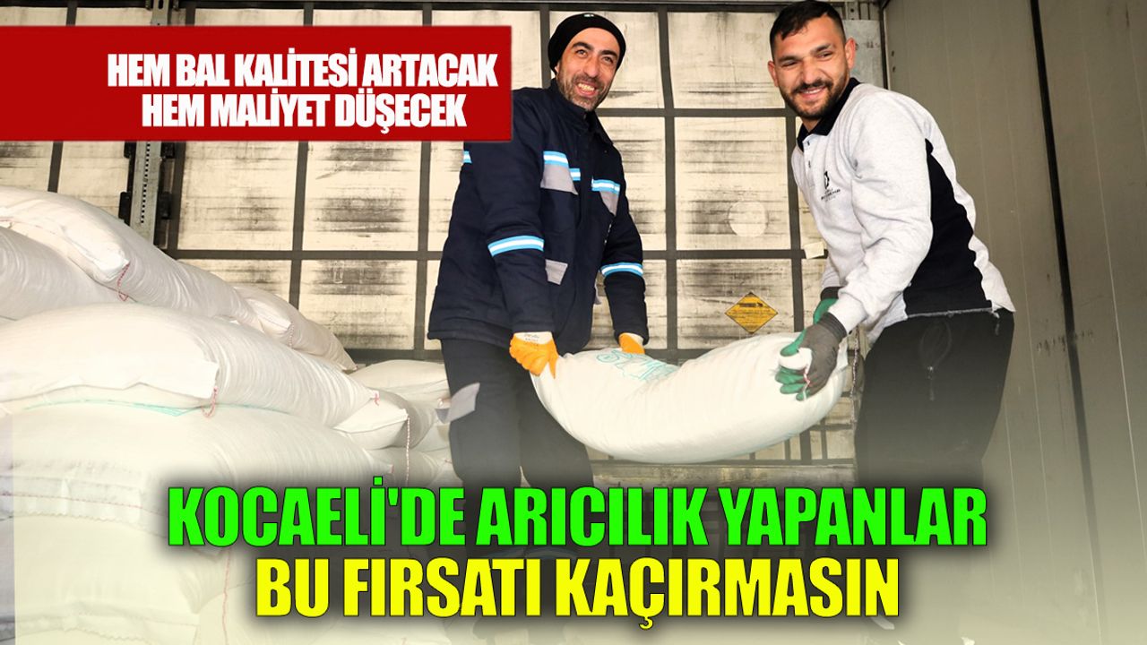 Kocaeli'de Arıcılara Büyük Kolaylık: Şekerin Yarısı Belediyeden