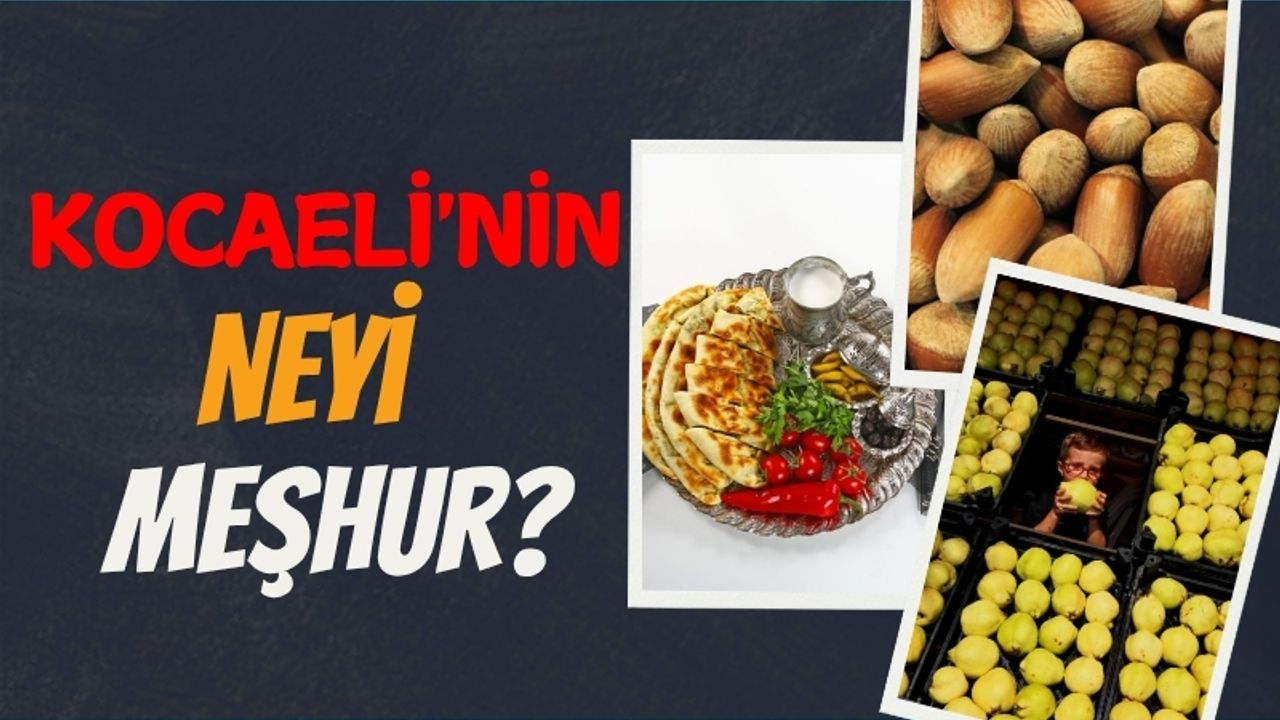 Kocaeli'nin Neyi Meşhur?