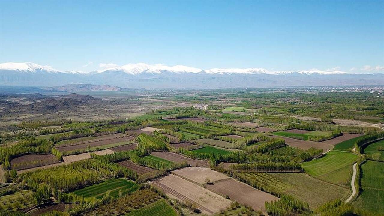 Kocaeli'nde Arabadan Daha Ucuza Toprak Satılacak: İki Dönüm Alan İçin Bu Fiyat İstendi