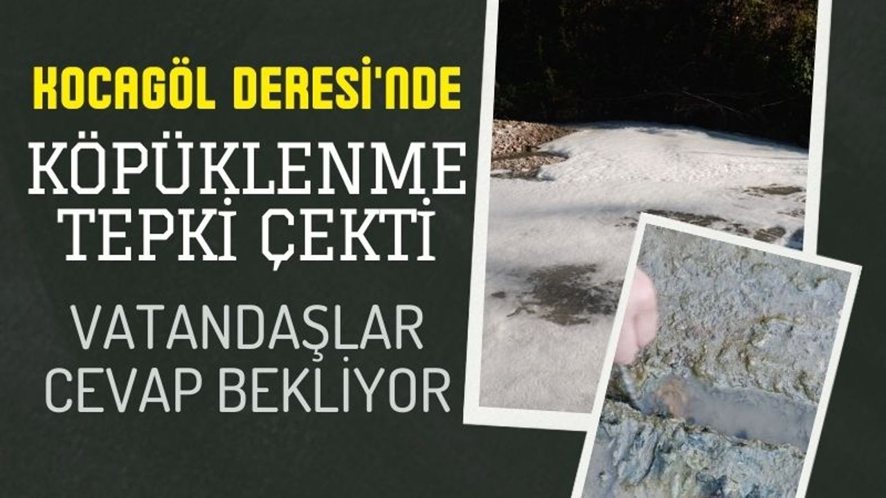 Gebze Halkı Şikayetçi: Kocagöl Deresi Birine Mezar Mı Olsun?