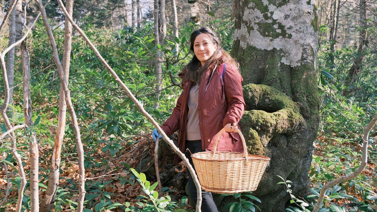 Kuzuyayla’da doğa ve keşif bir arada: Mantar avına yoğun ilgi