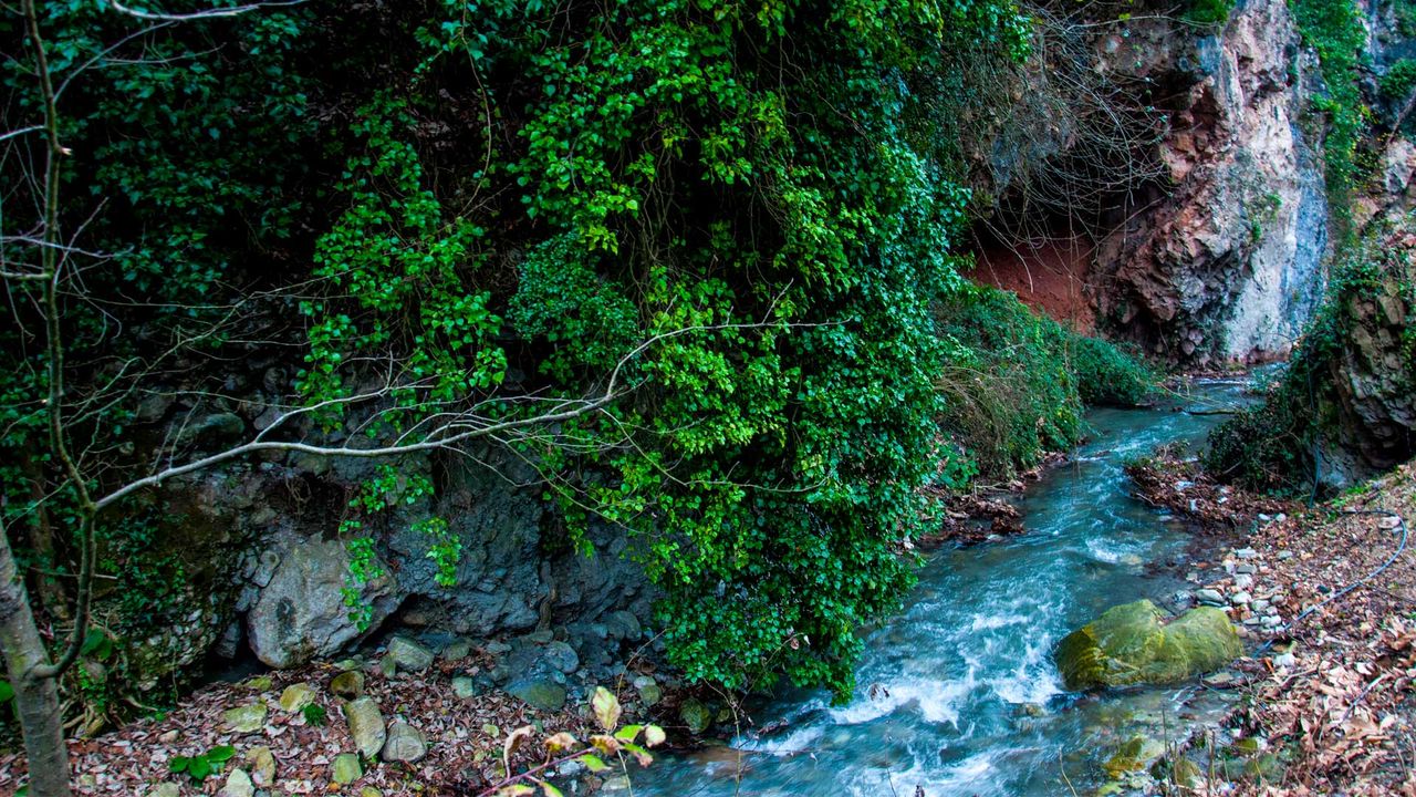 Kartepe'de bahçeli villa mahkemeden satılacak: Herkesi şaşırtan fiyat açıklandı