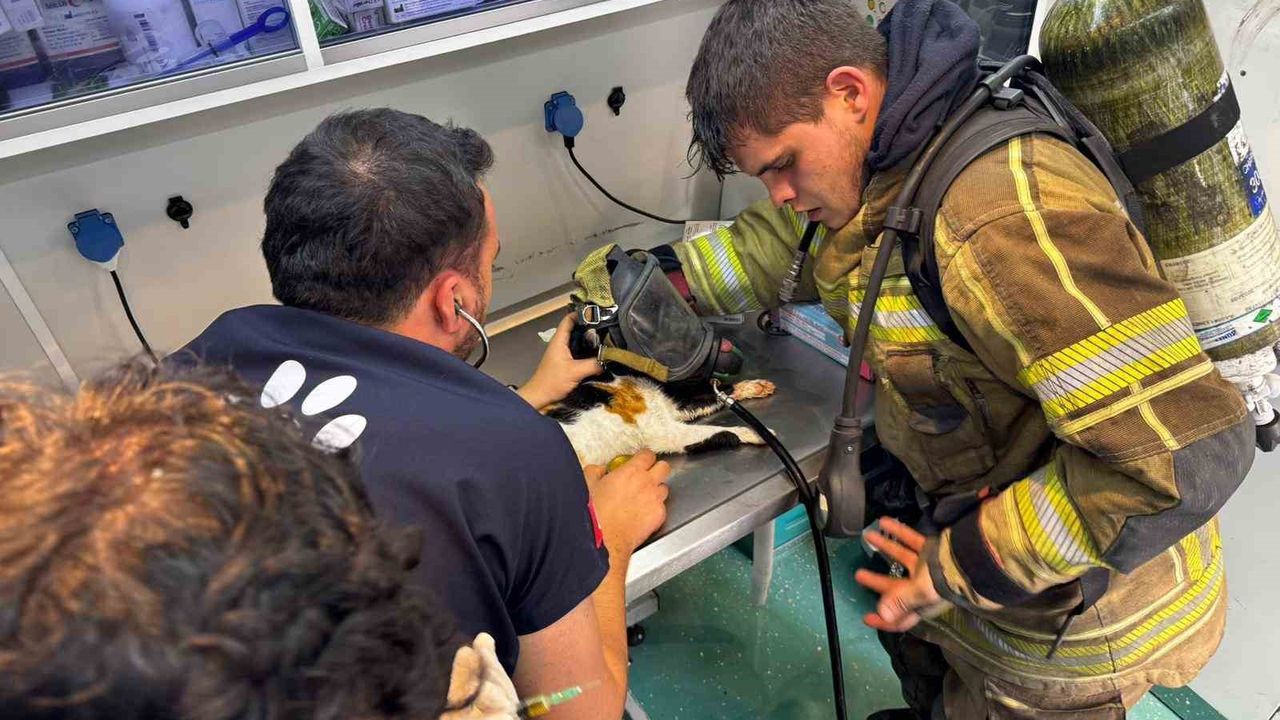 İtfaiye hem köpeği hem kedileri kurtardı: İzmir’de can dostlara nefes oldular