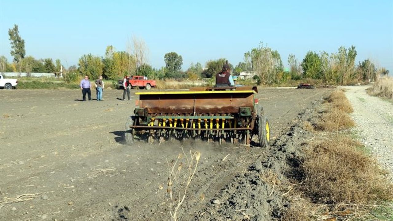 Adana’da 480 dekar mera hayvancılığa kazandırıldı: Tohumlar toprakla buluştu