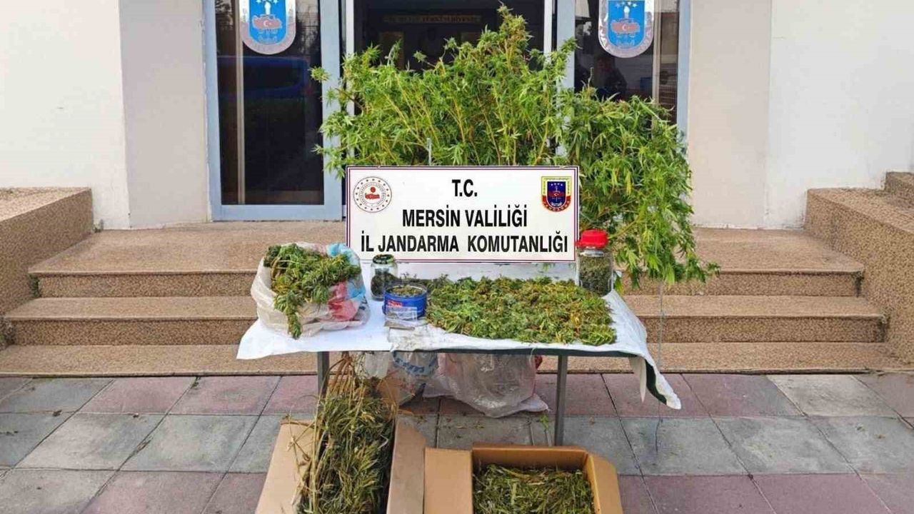 Mersin’de Uyuşturucu Operasyonu: 52 Kök Kenevir ve 11 Kilo Esrarla Yakalandı