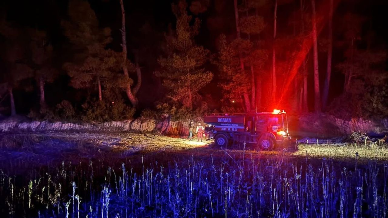 Muğla’da Orman Yangını Paniği: Ekipler Alevlere Anında Müdahale Etti