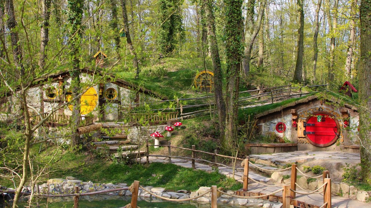 Kocaeli Ormanya Nerede? Doğayla İç İçe Bir Tabiat Parkı