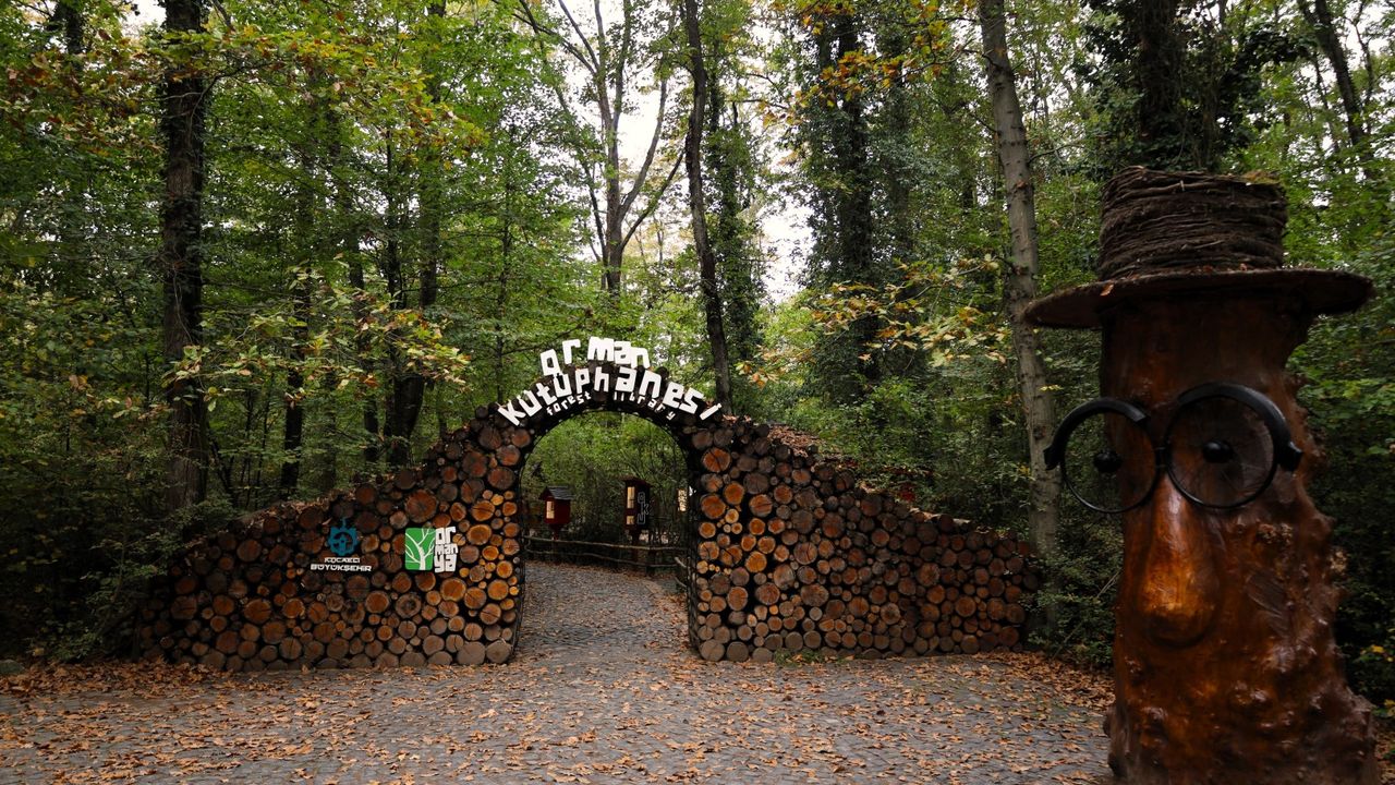 Sonbaharda Ormanya’nın Büyüleyici Atmosferi Ziyaretçileri Ağırlıyor