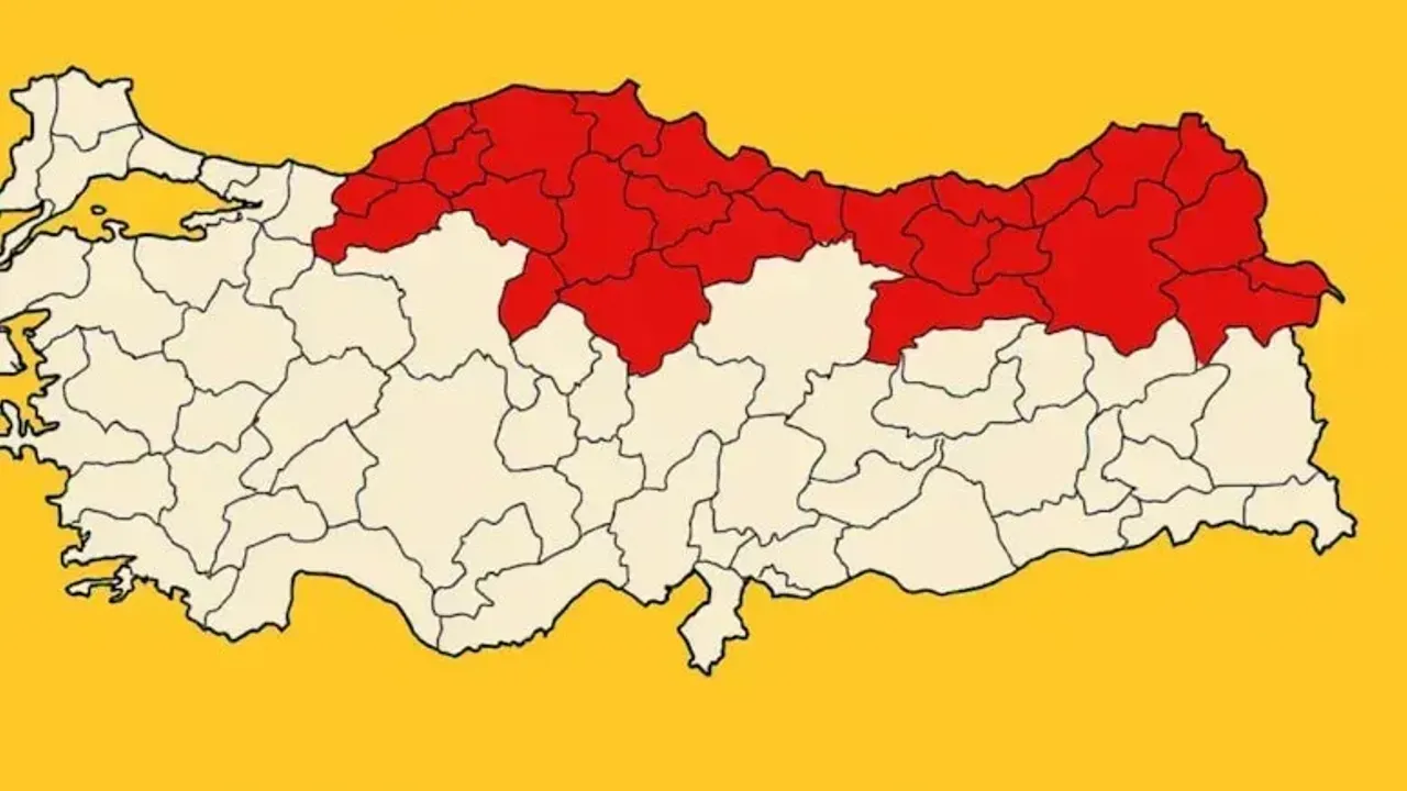 Kocaeli Tarımı Tehlikede: Kahverengi Kokarca Hızla Yayılıyor