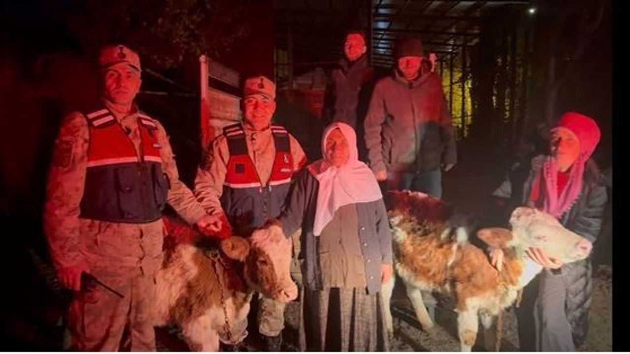 Jandarma çalınan hayvanları sahibine teslim etti