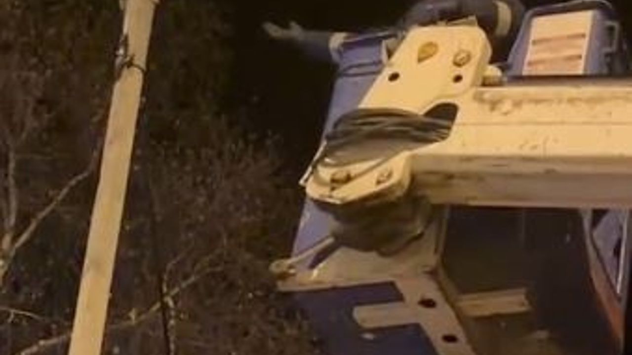 Direkte mahsur kalan kediyi Aras EDAŞ ekipleri kurtardı